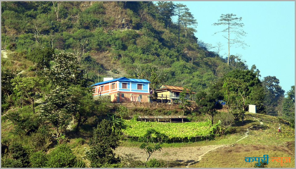 Chindedada-2