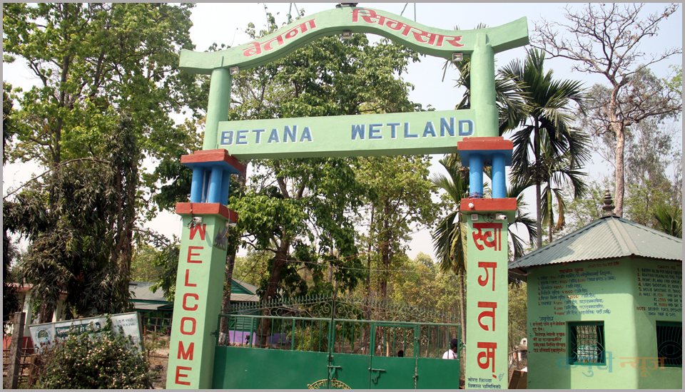 Betna-2