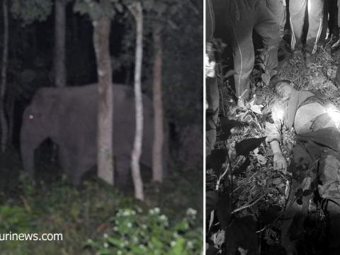 हात्तीको आक्रमणबाट इटहरीका रविन खड्काको मृत्यु 
