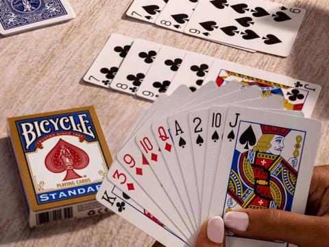 गौरादहमा रास्वपा नगर सभापति अधिकारीसहित १६ जना जुवाडे पक्राउ