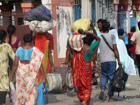 जेनजी आन्दोलन प्रभाव : चाडपर्वमा कालोबजारीको जोखिम