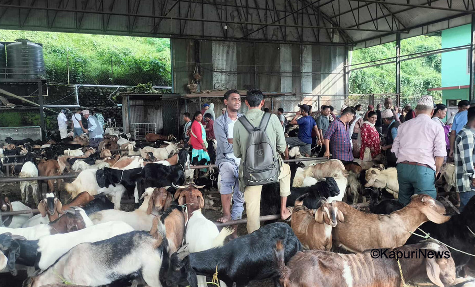 khasi-boka-4
