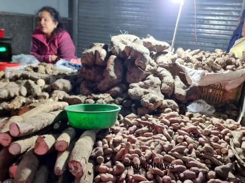 माघे सङ्क्रान्तिको लागि धरानमा १ सय टन तरुल भित्रियो