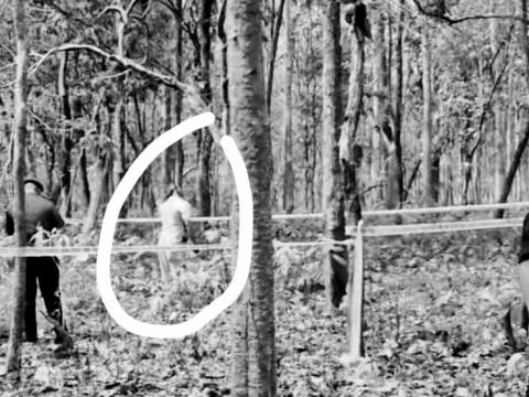 विराटनगरका दधिराम घिमिरे चारकोशे जङ्गलमा झुन्डिएको अवस्थामा फेला विराटनगरका दधिराम घिमिरे चारकोशे जङ्गलमा झुन्डिएको अवस्थामा फेला