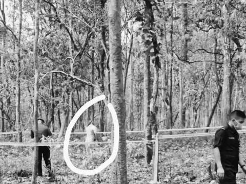 विराटनगरका दधिराम घिमिरे चारकोशे जङ्गलमा झुन्डिएको मृत अवस्थामा 