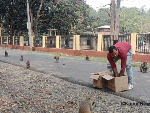 काँग्रेस नेता सन्तोषले रामधुनीमा गौशाला सामाग्री र बाँदरलाई खाद्य दिएर मनाए मातातीर्थ औशी