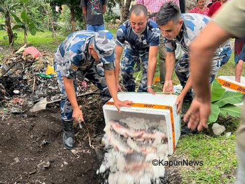 सशस्त्र प्रहरीद्वारा क्वारेनटाइन परीक्षण नभएको आयातित माछा ९० केजी पक्राउ 